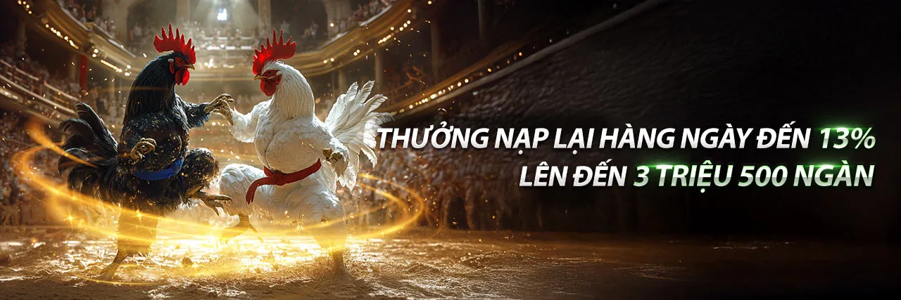 Đá Gà Trực Tuyến Hi88bet Khuyến Mãi Hấp Dẫn