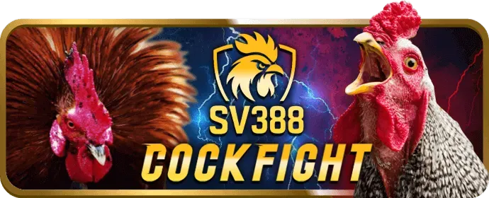 Chương trình VIP Hi88bet